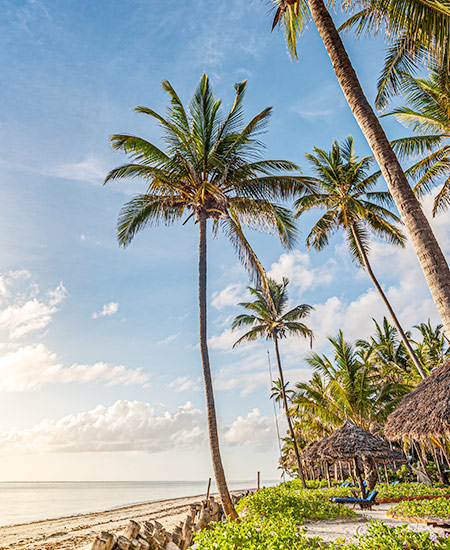 Beach view of Baraza Resort & Spa, Zanzibar