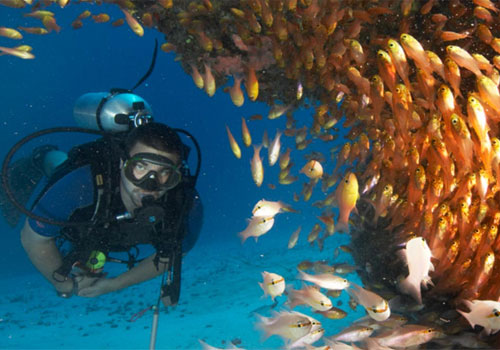 Coral Reef Exploration