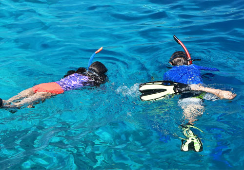 Snorkelling