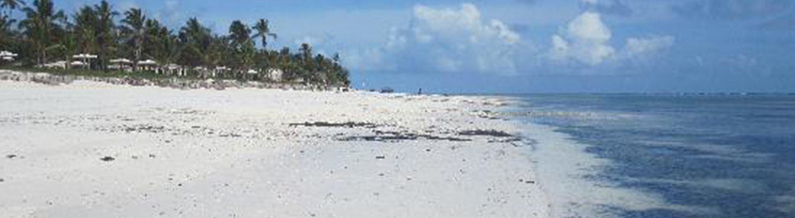“A Luxurious and Romantic Stay in the Sultan's Palace of Zanzibar”